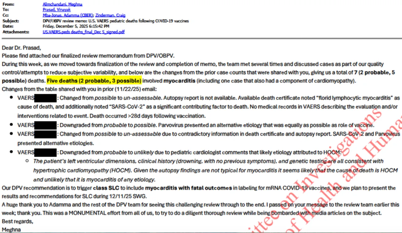 Screenshot/Documents obtained by Sen. Ron Johnson's office