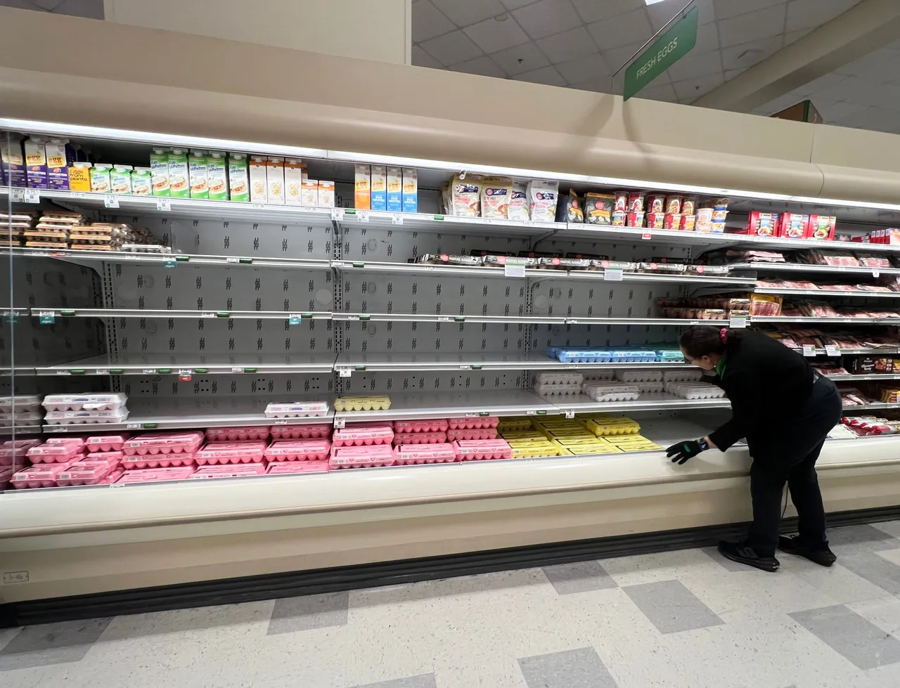 MIAMI, FLORIDA - JANUARY 23: A grocery store worker rearranges items in the depleted egg section on January 23, 2025 in Miami, Florida. (Photo by Joe Raedle/Getty Images)