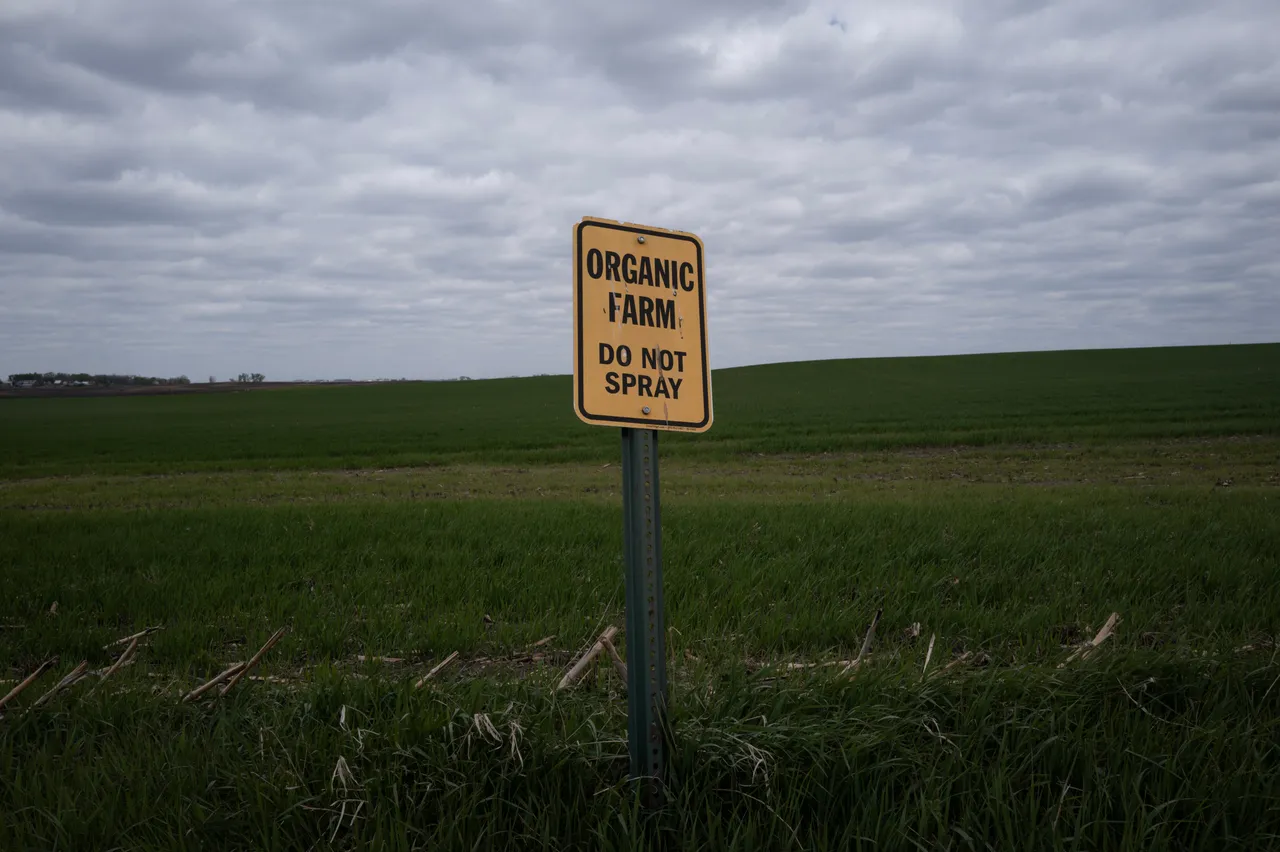 WEST BEND, IOWA - MAY 06: A sign warns about spraying pesticides on an organic farm on May 06, 2026 near West Bend, Iowa. (Photo by Scott Olson/Getty Images)