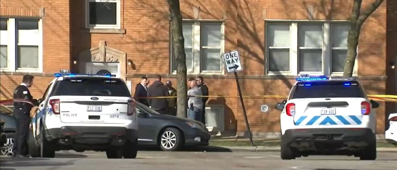 Pregnant Woman Shot In Chicago While Allegedly Attempting To Rob Car: Police