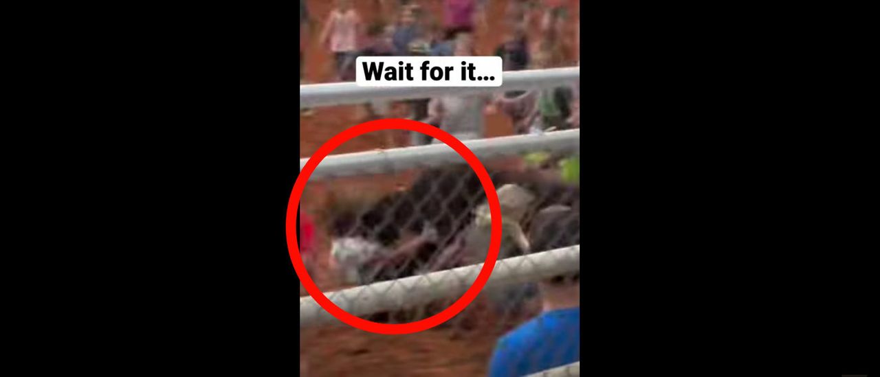 A Couple Of Kids Get Absolutely Floored By A Bull While Chasing It