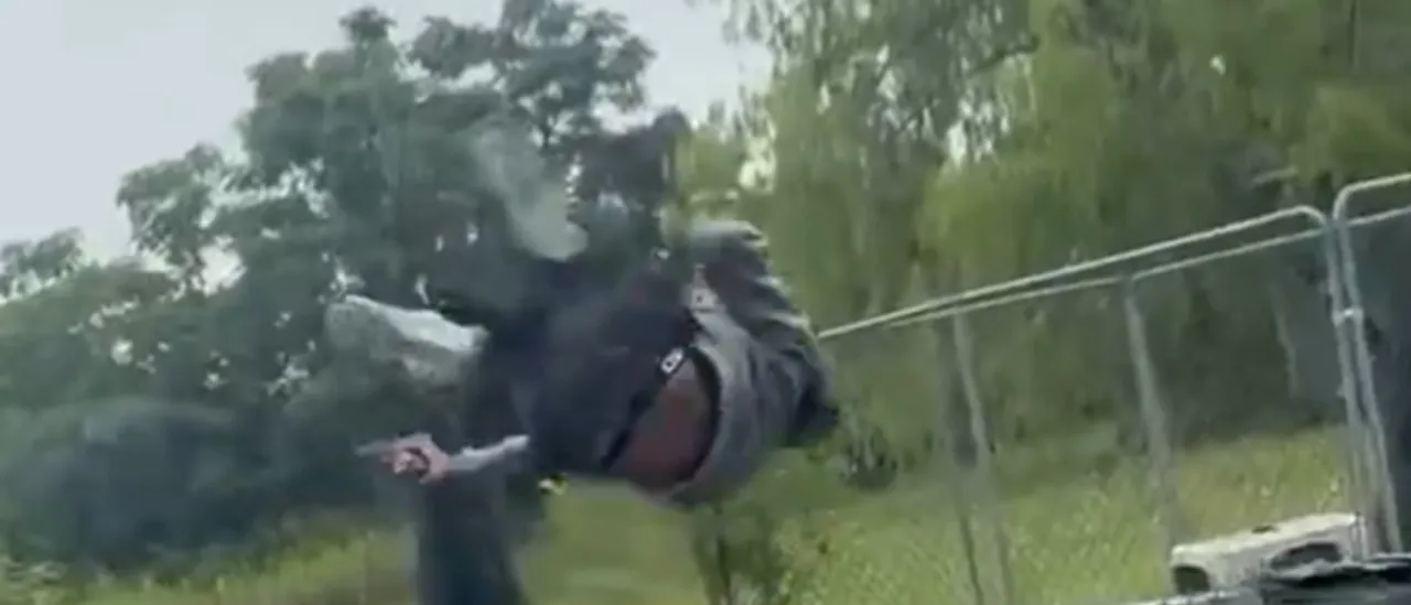 Social Media Video Is Case Study In How Not To Exercise Your Second Amendment Rights