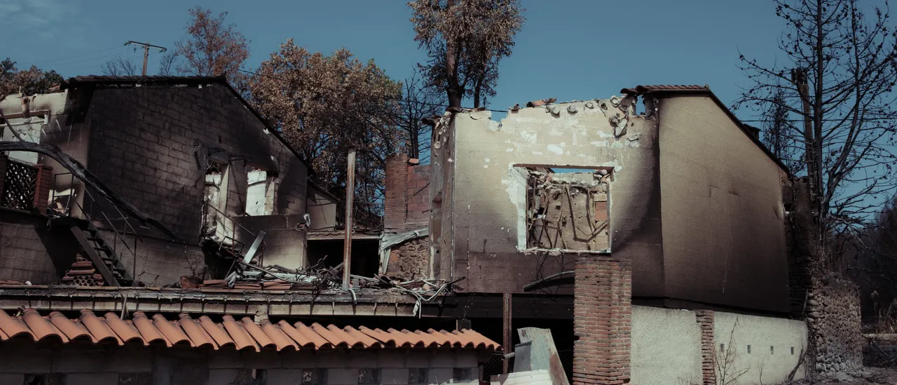 Animal Rights Activists Celebrate Young Hunters’ Deaths In House Fire
