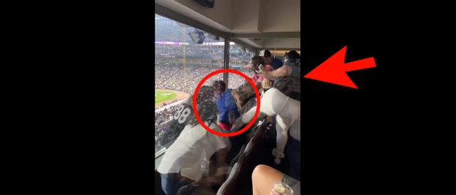 Cubs Fan Sent to Hospital After Getting Jumped at White Sox Game