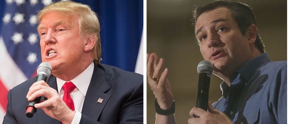Trump Camp: He Will Debate Cruz Once A Judge Rules He Can Actually Be President (Getty Images)