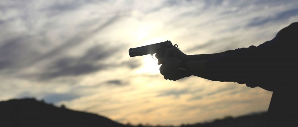 Handgun (REUTERS/Joshua Lott)