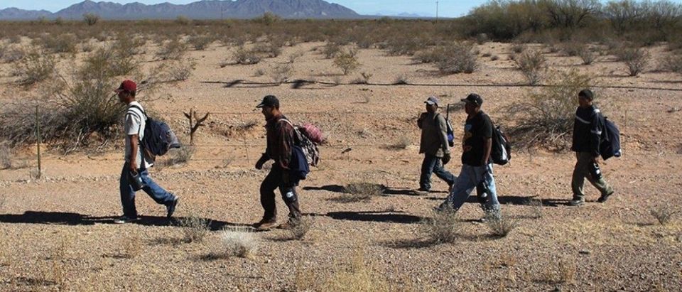 Undocumented Mexican immigrants walk through the Sonoran Desert after illegally crossing the U.S.-Mexico border. (John Moore/Getty Images)