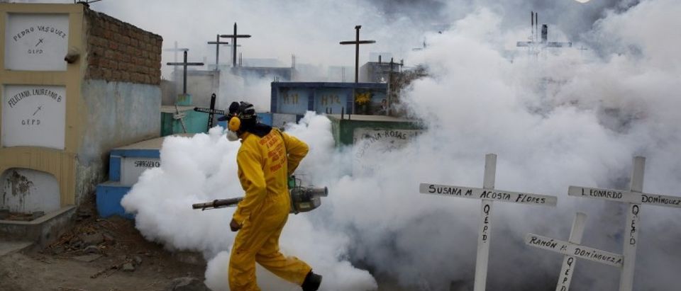 A health worker carries out fumigation as part of preventive measures against the Zika virus and other mosquito-borne diseases at the cemetery of Carabayllo on the outskirts of Lima