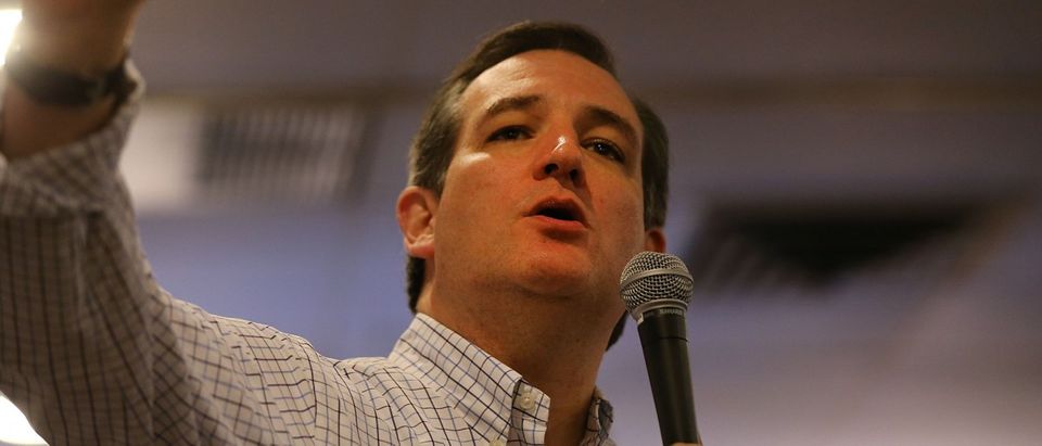 Limbaugh: 'You Will Never Doubt' Ted Cruz Is Conservative [AUDIO]