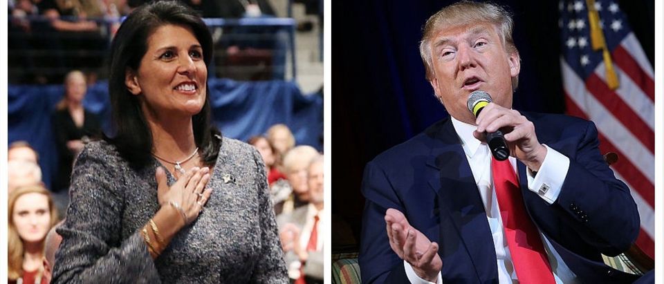 Gov Nikki Haley Won't Vote Trump: He's 'Everything A Governor DOESN'T Want In A President' (Getty Images)