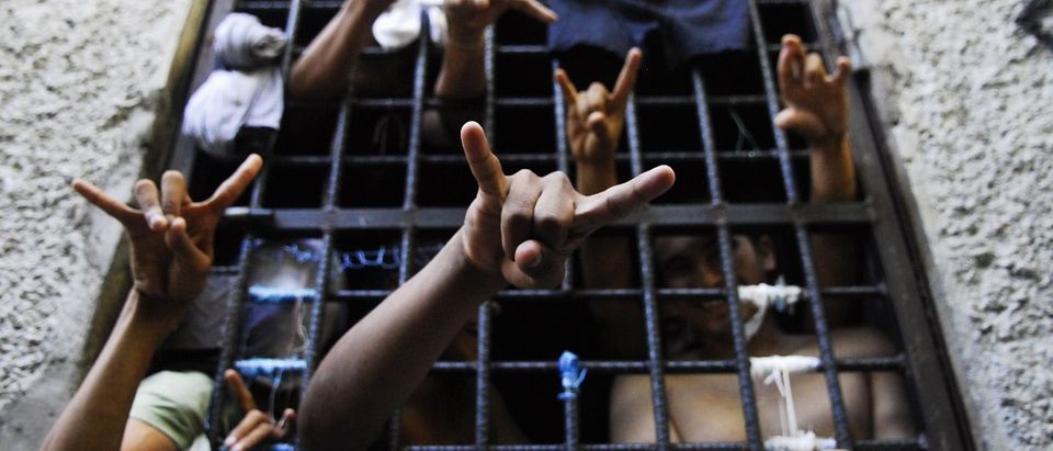 People arrested this week for being members of the MS-13 Mara Salvatrucha street gang among other crimes, flash their gang's hand sign from inside a jail cell at a police station in San Salvador October 12, 2012. REUTERS/Ulises Rodriguez