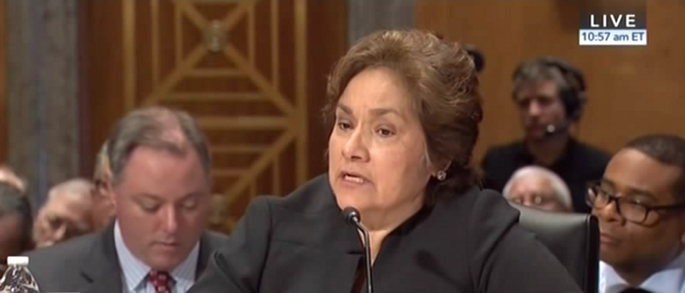 ICE director Sarah Saldana testifies at a Senate Homeland Security Committee hearing, March 15, 2016. (Youtube screen grab)