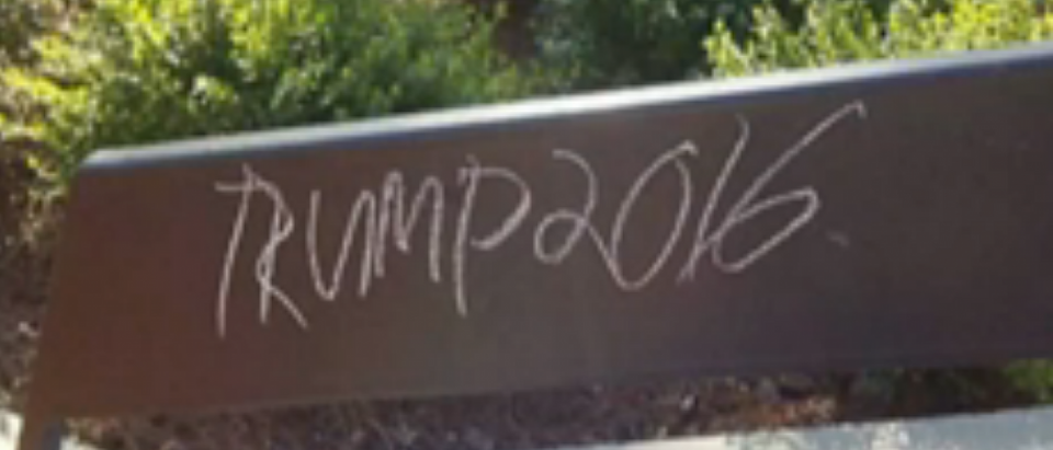 One of many pro-Donald Trump chalk markings left at Emory University [Fox News video screengrab/http://video.foxnews.com/v/4822156482001/gutfeld-trump-chalk-hysteria-exposes-new-lie-of-campus-left/#sp=show-clips]