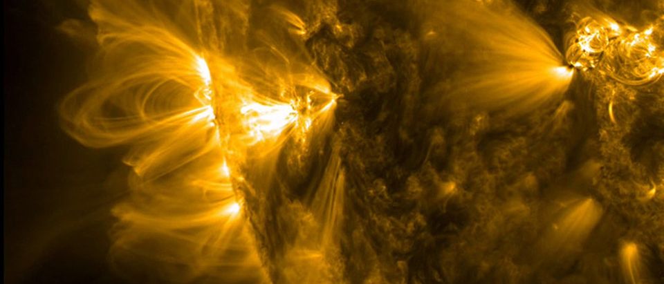 NASA's Solar Dynamics Observatory image in extreme ultraviolet light shows an active region of the sun's coronal loops
