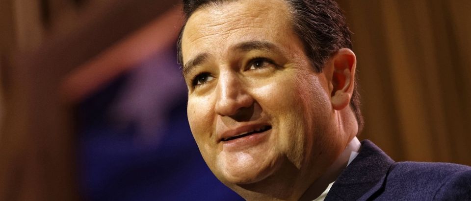 Ted Cruz (Photo: Shutterstock)
