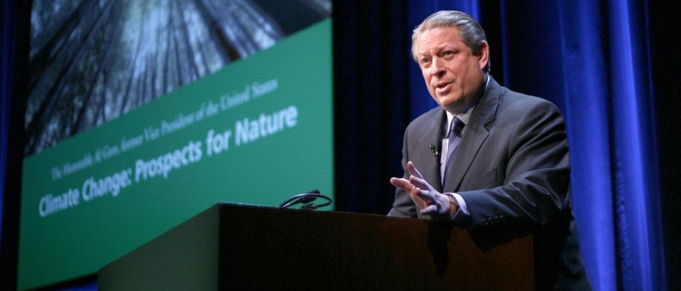 Former US Vice-President Al Gore: stocklight / Shutterstock.com