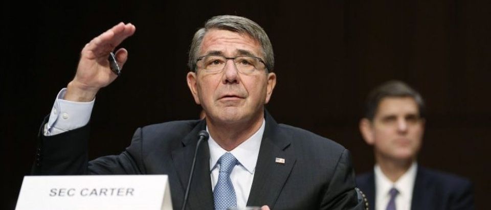 U.S. Secretary of Defense Ash Carter testifies on Capitol Hill in Washington.