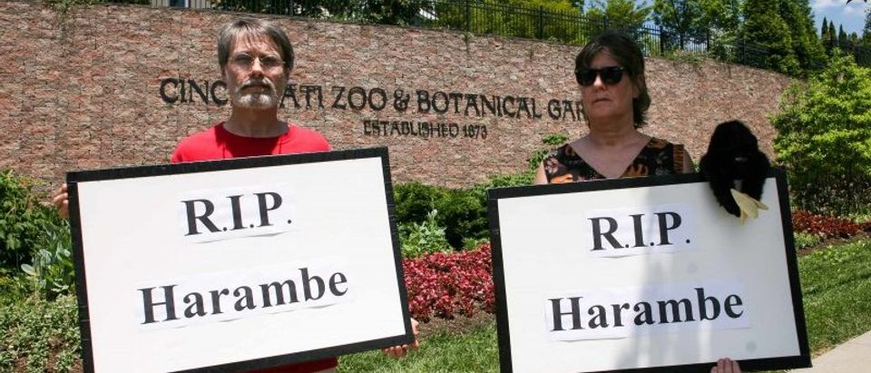 People attend a vigil for a gorilla outside the Cincinnati Zoo, in Cincinnati, Ohio