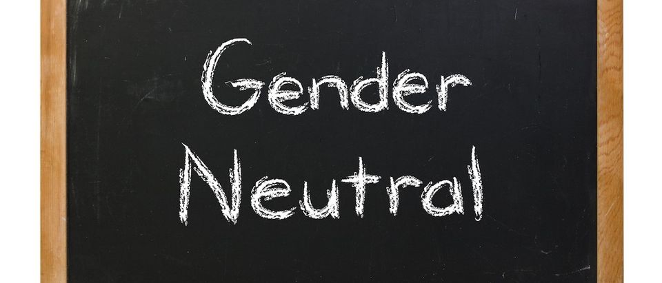 Gender neutral written in white chalk on a black chalkboard isolated on white