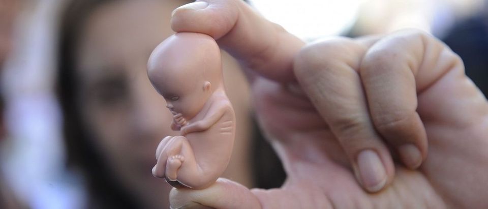 A woman displays a plastic fetus as she