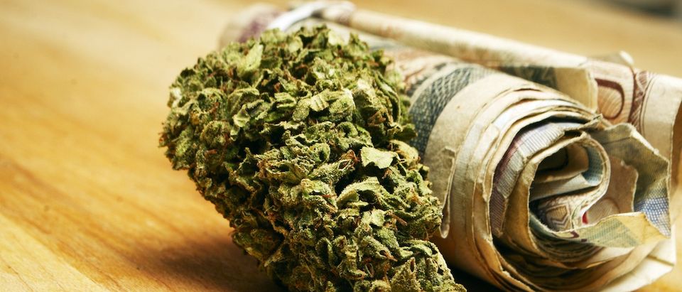 Marijuana and Cannabis Buds and Money, Drug Business