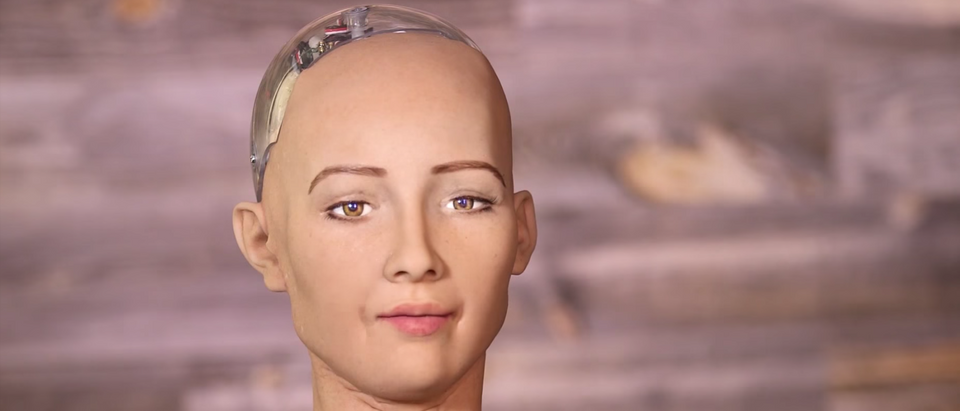 Robot "Sophia"