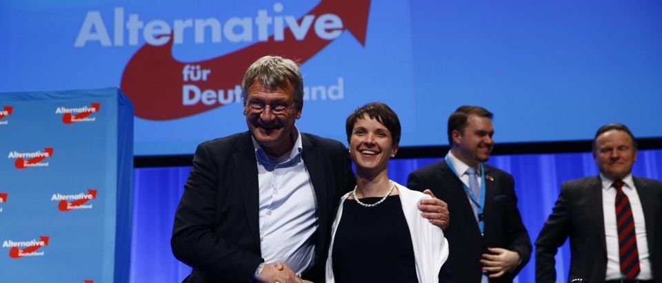Petry, chairwoman of the anti-immigration party Alternative for Germany (AfD), and AfD leader Meuthen stand at the end of the second day of the AfD congress in Stuttgart