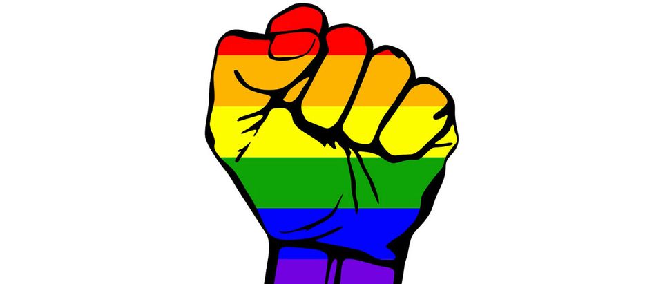 gay pride fist Shutterstock/RRA79.