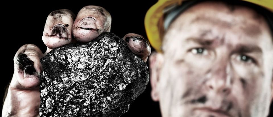 A dirty coalminer displays a lump of coal as a power and energy source. Shutterstock/Joe Belanger