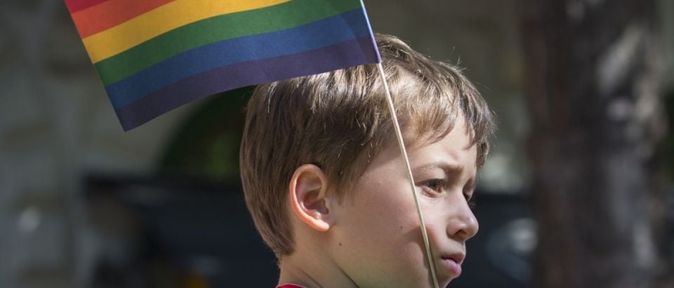BUDAPEST, HUNGARY - JULY 11.Unidentified boy took part in the 20. Budapest Gay Pride parade to support the LGBT (lesbian, gay, bisexual, and transgender) rights on July 11 2015 in Budapest, Hungary. (Credit: posztos / Shutterstock.com)