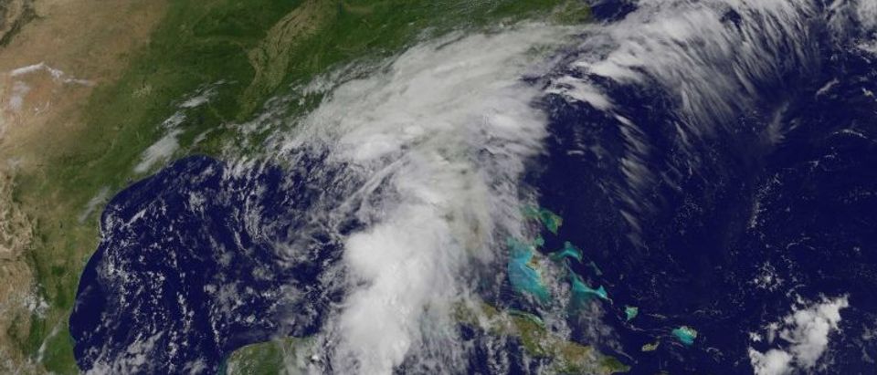 A NASA satellite image showing the Tropical Storm Colin over Florida and the U.S. South-East coast