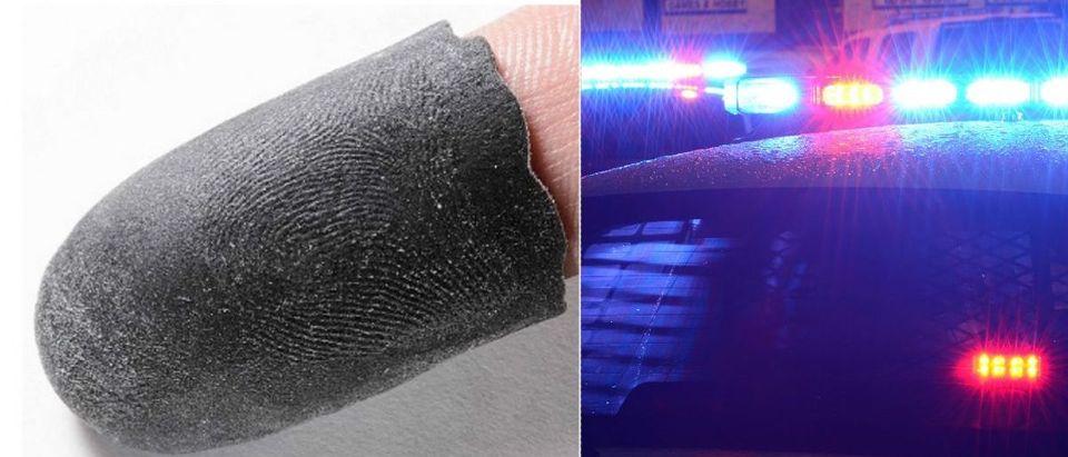 Replicated Fingerprint: Courtesy of Michigan State University, Biometrics Research Group. Police Lights via Shutterstock