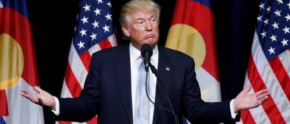 Republican presidential nominee Donald Trump speaks at a campaign rally in Colorado Springs, Colorado, U.S., July 29, 2016. REUTERS/Carlo Allegri