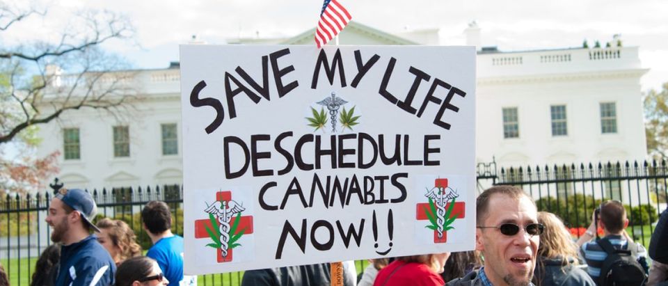 A sign asking the government to deschedule mcannabis. Shutterstock/ Rena Schild