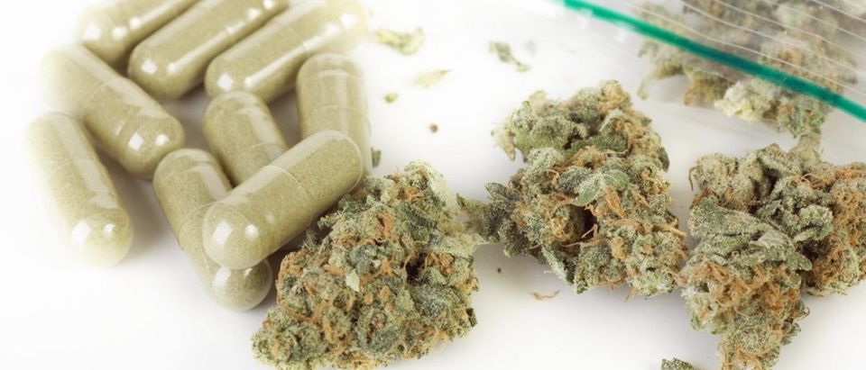 Marijuana pills are shown next to the buds. Shutterstock/Charlotte Lake