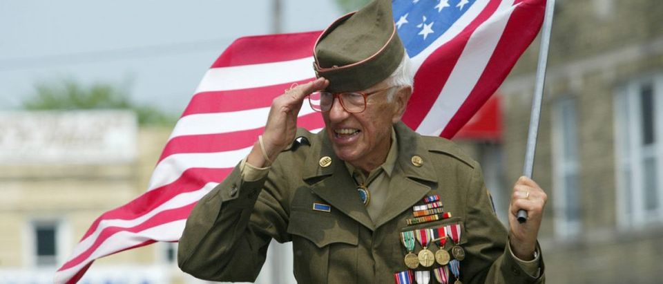 Veteran salute (Credit: Anthony Correia / Shutterstock.com)