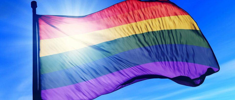 gay pride flag Shutterstock/Jiri Flogel