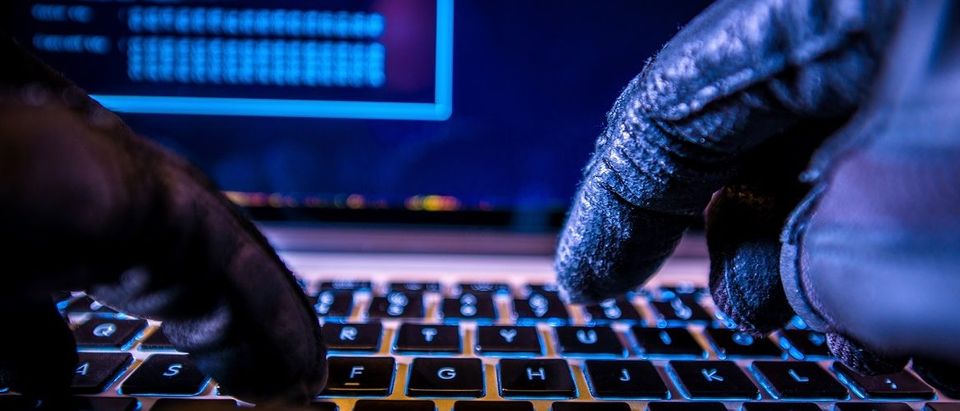 Hacker in black gloves hacking. Welcomia/Shutterstock.