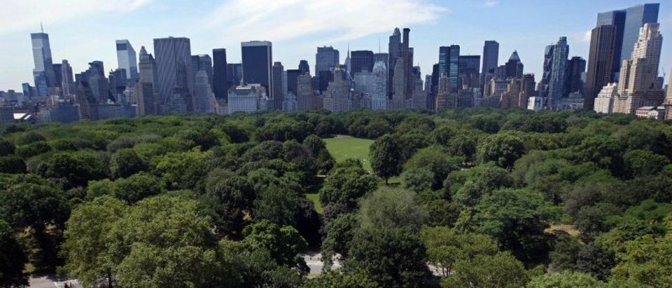 File photo of a view of the New York skyline with buildings along Central Park South