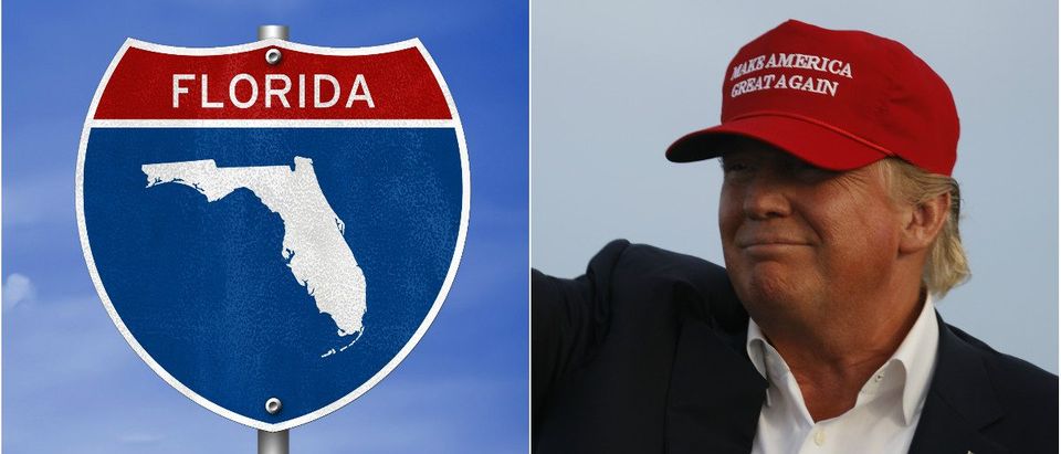 Florida: G guy/shutterstock, Donald Trump: Joseph Sohm/shutterstock