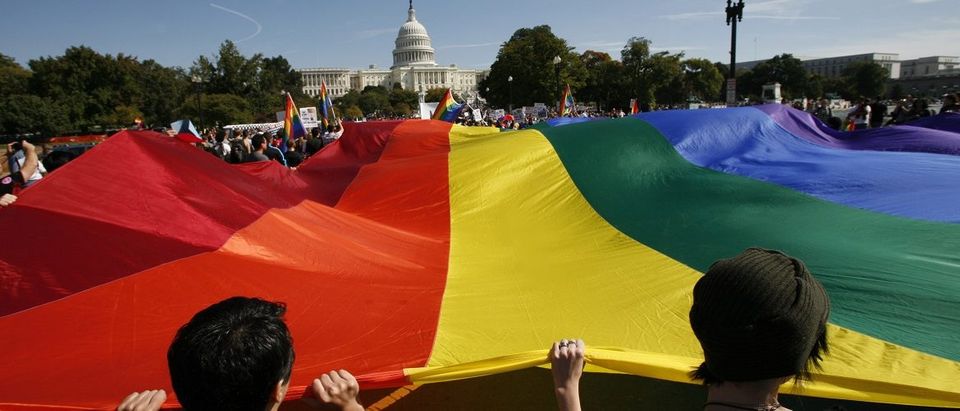 Participants carry a large rainbow flag towards the U.S. Capitol during a gay rights demonstration in Washington