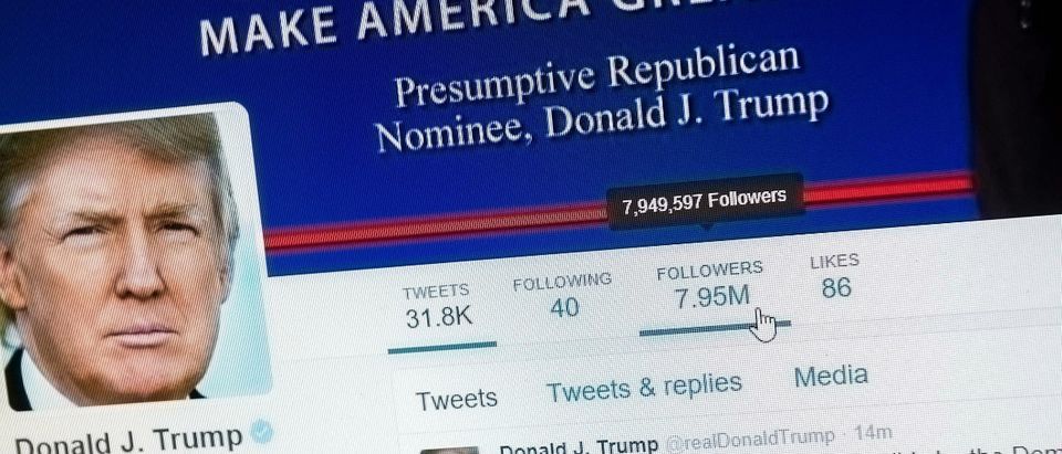 Trump Twitter Shutterstock/txking