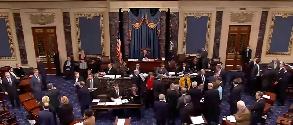 U.S. Senate Floor (CSPAN Screen Shot)