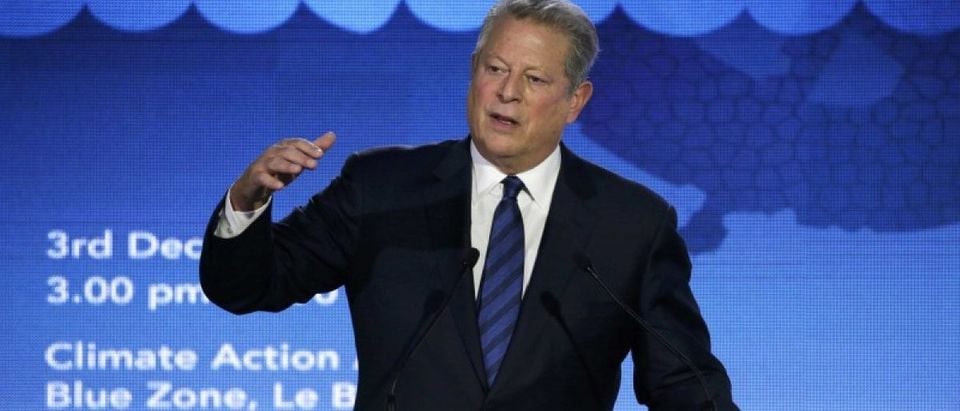 FILE PHOTO - Al Gore delivers a speech at the World Climate Change Conference 2015 (COP21) in Le Bourget