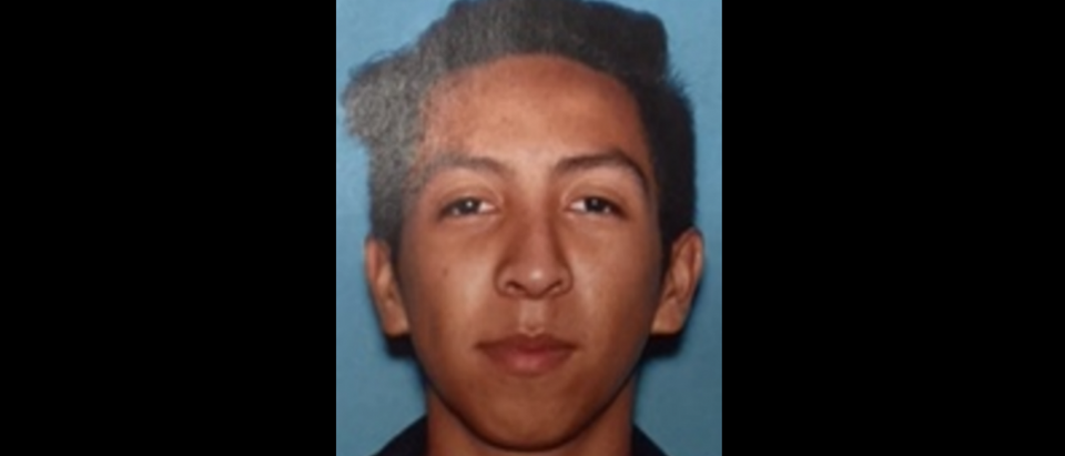 Pablo Gomez, prime suspect in Berkeley murder. (Berkeley police department)