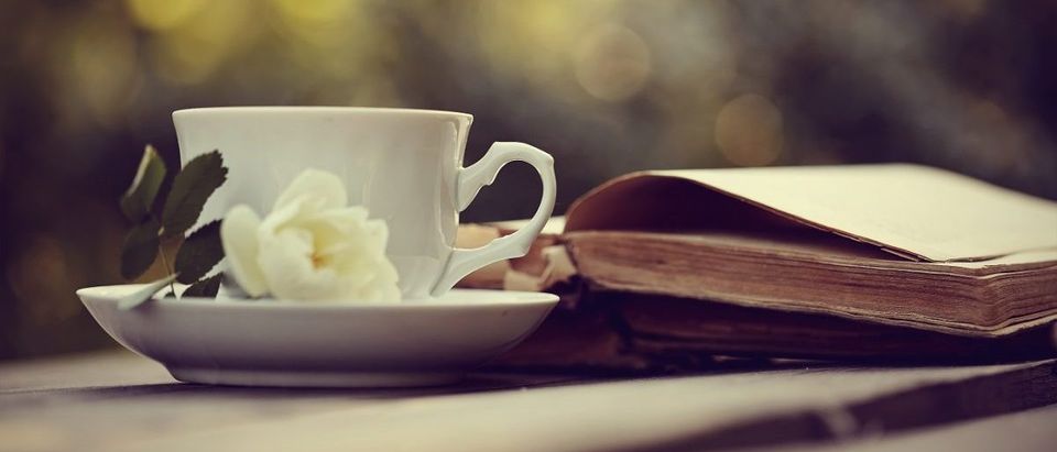 Tea and a book (Credit: Shutterstock)
