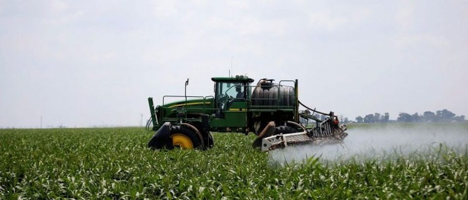 A worker uses a tractor to spray a field of crops during crop-eating armyworm invation at a farm in Settlers, northern province of Limpopo, South Africa