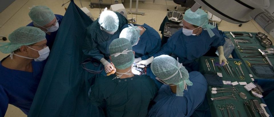 Surgeons extract the liver and kidneys of a brain-dead woman for transplantation donation at the Unfallkrankenhaus Berlin (UKB) hospital in Berlin January 12, 2008. The vital organs were transported for transplantation to patients in three German cities. REUTERS/Fabrizio Bensch