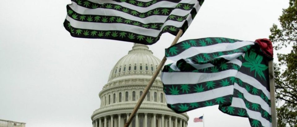 Marijuana flags are seen as protesters gather to smoke marijuana on the steps of the U.S. Capitol to tell Congress to "De-schedule Cannabis Now" in Washington, U.S. April 24, 2017. REUTERS/Yuri Gripas