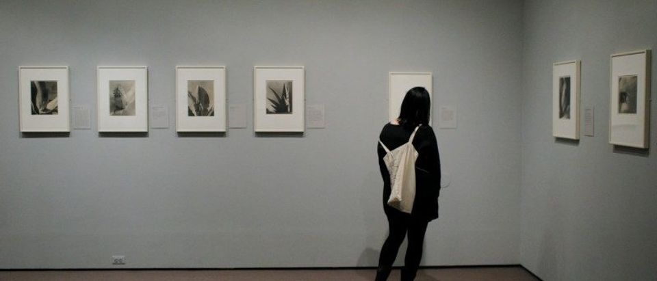 A visitor looks at the exhibit "Imogen Cunningham: In Focus" at the Museum of Fine Arts, Boston, in Boston